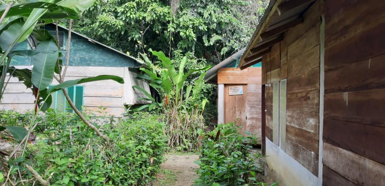 Hotel Centro Ecoturistico Ya´ajche Lacanjá Exterior foto